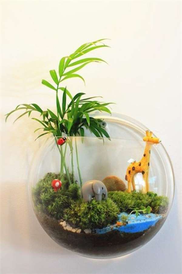 The growth habit of moss