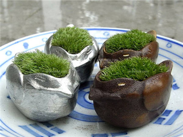 Method of propagation of moss