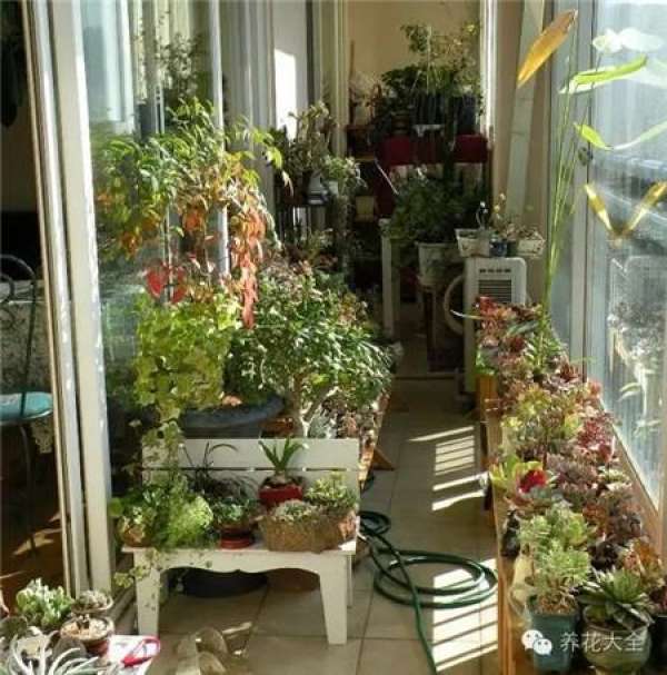 Ideal balcony