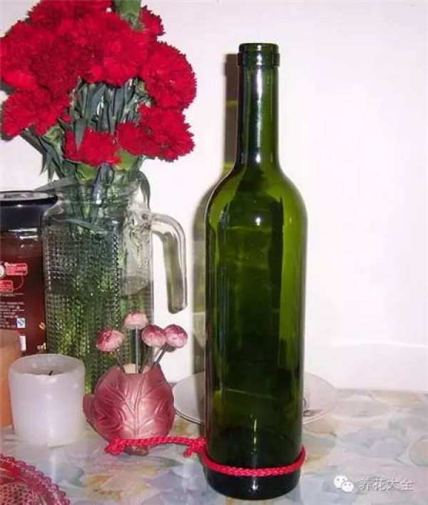 Wine Bottle