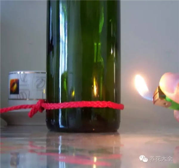 Wine Bottle