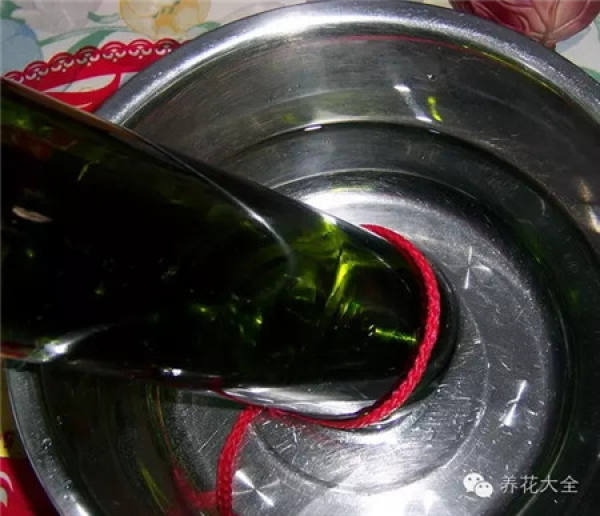 Wine Bottle