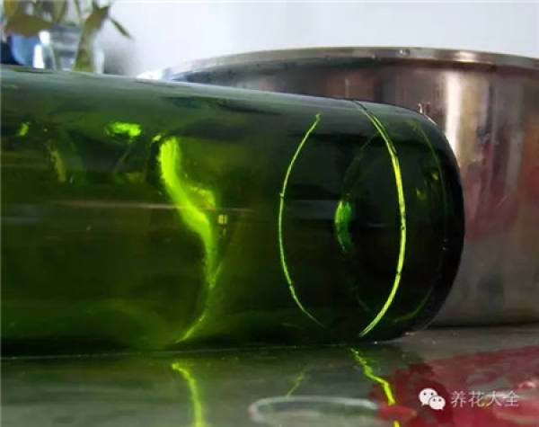 Wine Bottle