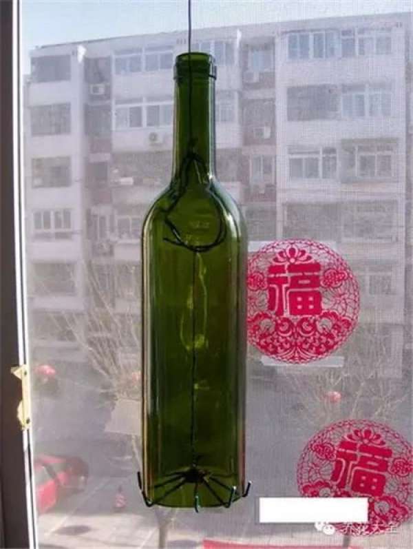 Wine Bottle