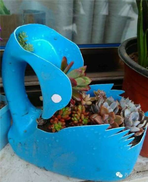 Fill the soil and plant flowers.