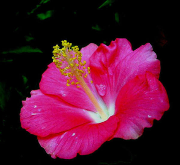 Beautiful America Beautiful America