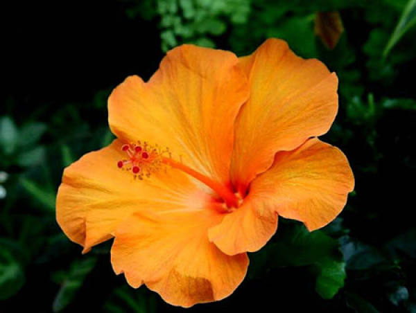 Beautiful America Beautiful America