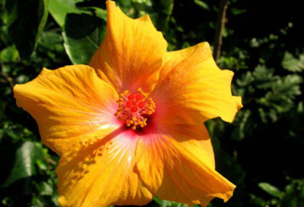 Beautiful America Beautiful America