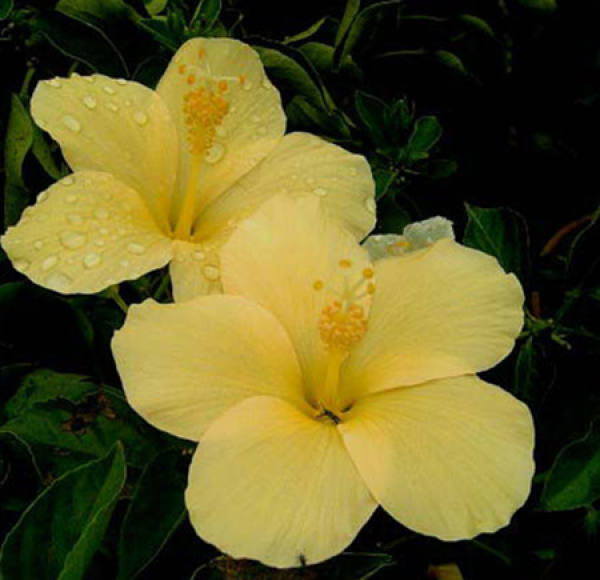 Beautiful America Beautiful America