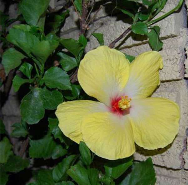 Beautiful America Beautiful America