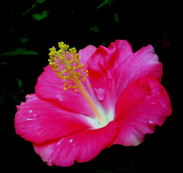 Beautiful America Beautiful America