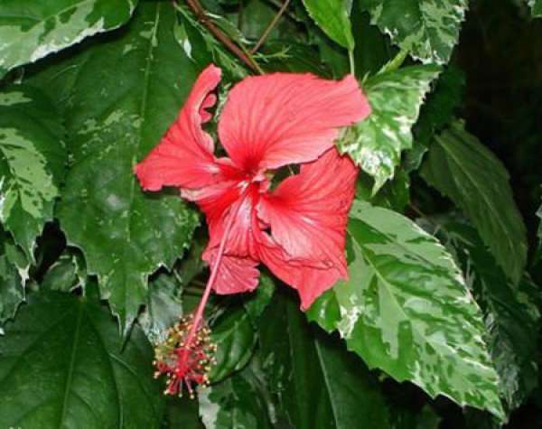 Beautiful America Beautiful America