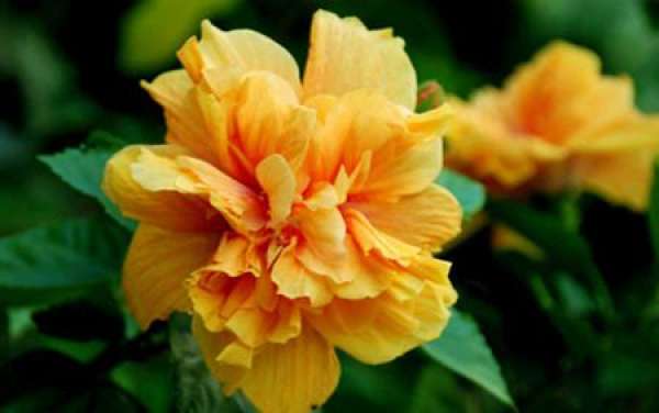 Beautiful America Beautiful America