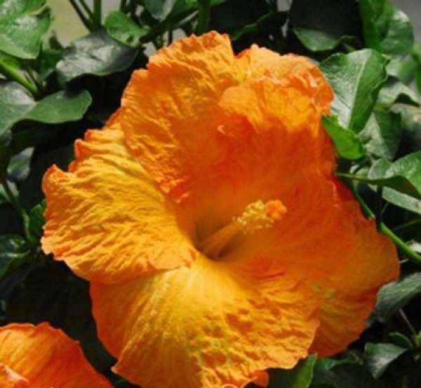 Beautiful America Beautiful America