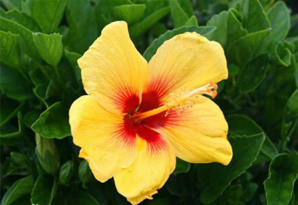 Beautiful America Beautiful America