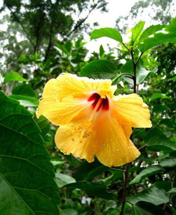 Beautiful America Beautiful America