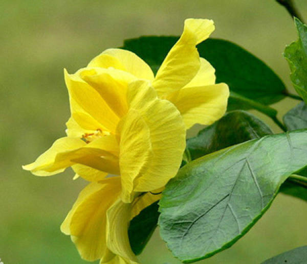 Beautiful America Beautiful America