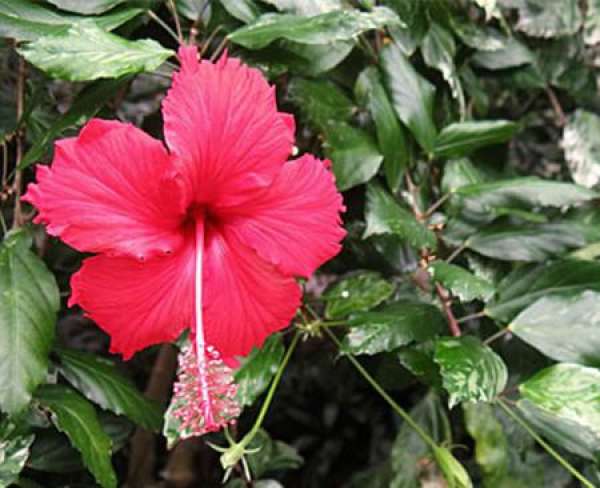 Beautiful America Beautiful America