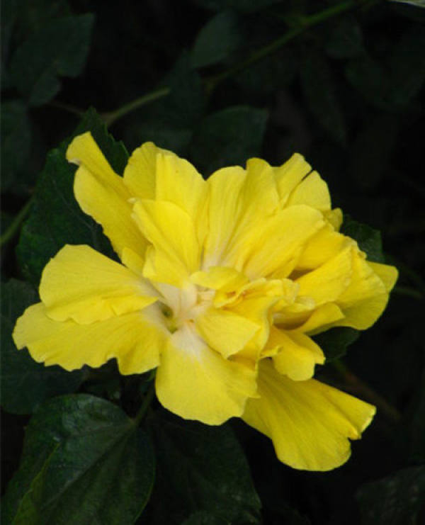 Beautiful America Beautiful America