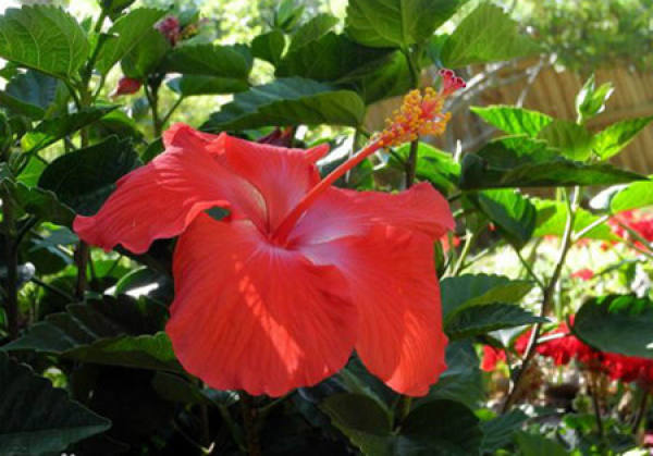 Beautiful America Beautiful America