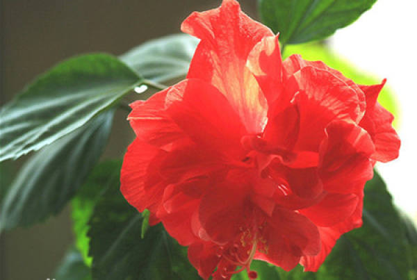 Beautiful America Beautiful America