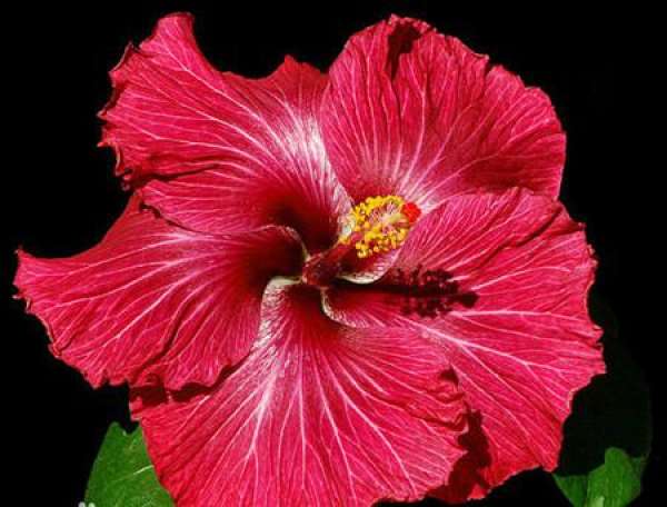 Beautiful America Beautiful America