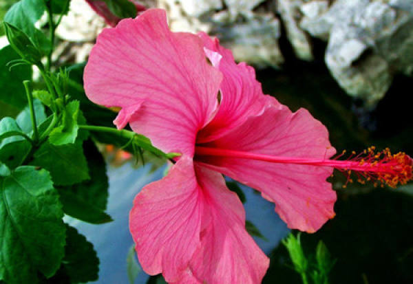 Beautiful America Beautiful America