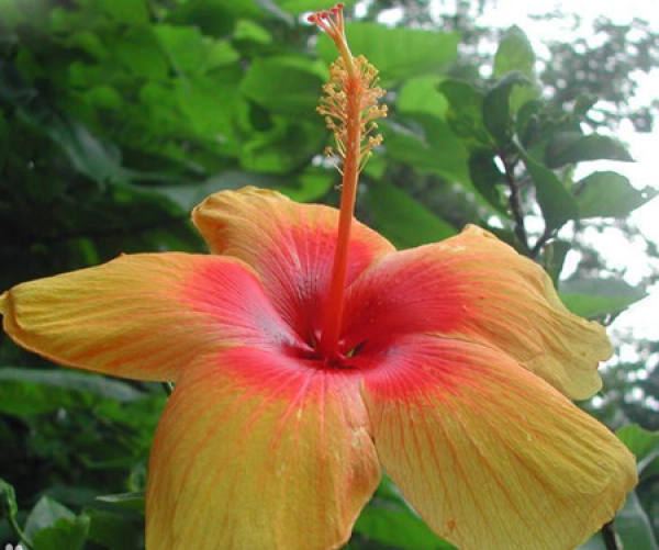 Beautiful America Beautiful America