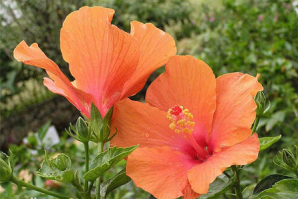 beautiful America beautiful America