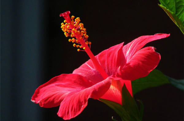 beautiful America beautiful America