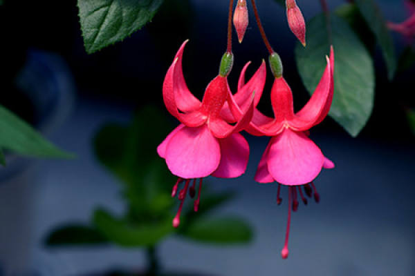 upside down upside down