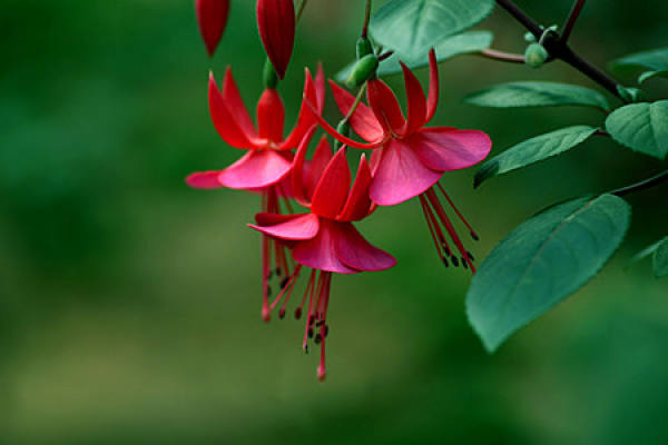 upside down upside down