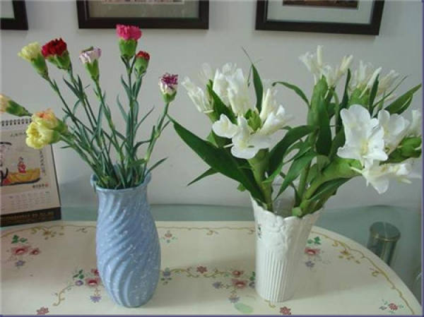 Method for culturing ginger flower