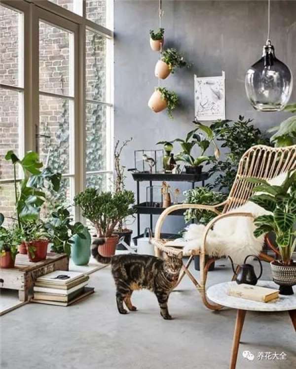 Living Room Greening