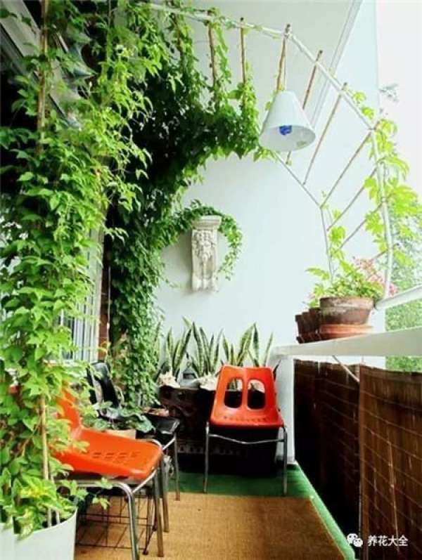 Living Room Greening