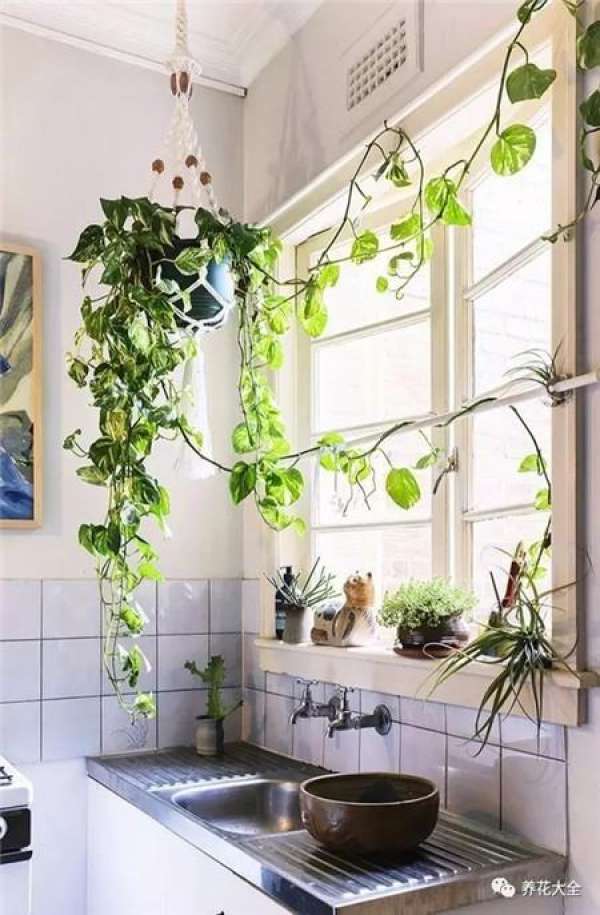 Living Room Greening