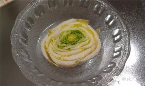 Radish
