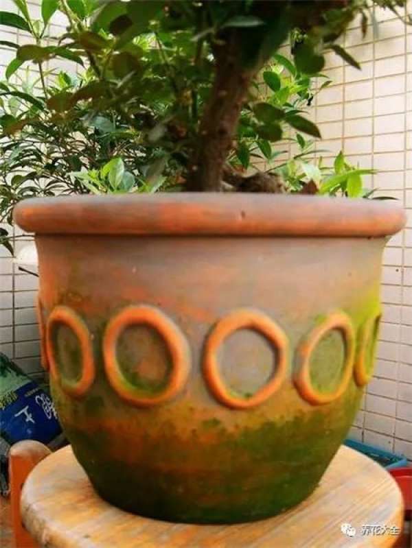 Leaf spot