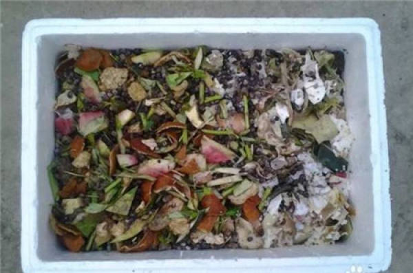 Compost