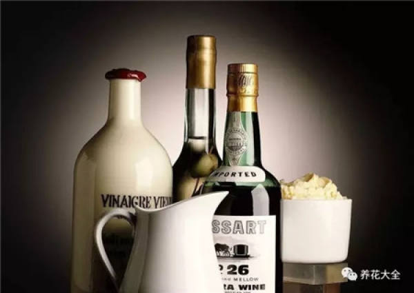 Wine Bottle