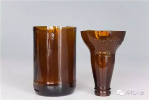 Wine Bottle