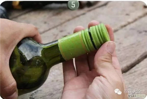 Wine Bottle