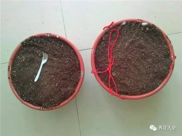 Preparing cutting soil