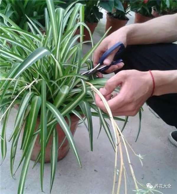 Preparing cutting soil