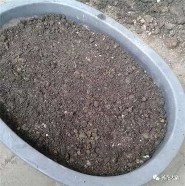 Preparing cutting soil