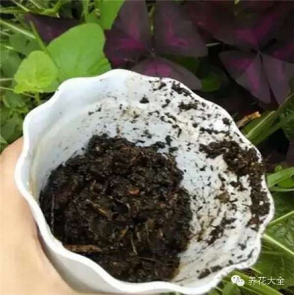 Preparing cutting soil