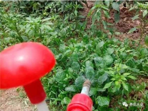 Leachate enhanced resistance