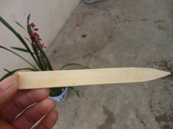 Ice cream stick