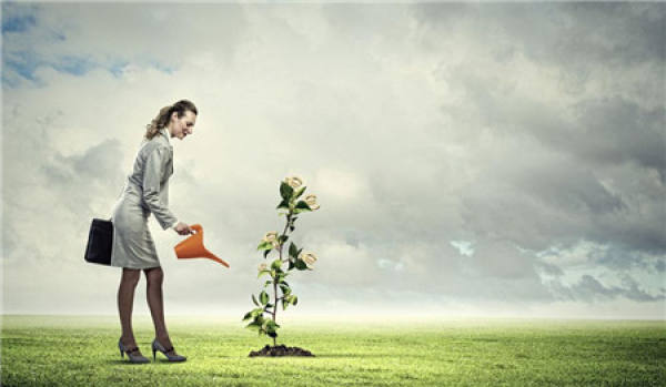 When to water depends on the permeability of the soil.
