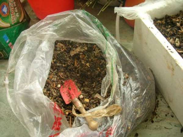 How to make your own fertilizer